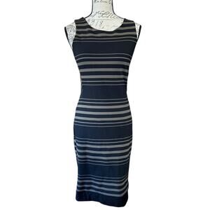Banana Republic Sleeveless Striped Shift Dress Size 2